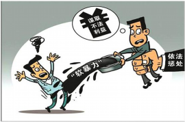 大兴贷款清欠服务